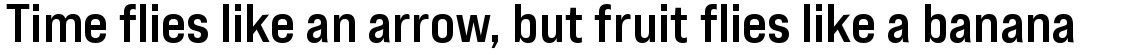 Bebas Neue Pro Expanded Bold