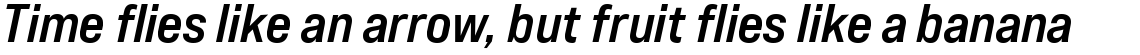 Bebas Neue Pro Expanded Bold Italic