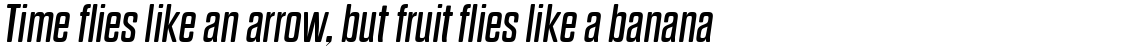 Dharma Gothic Rounded E Regular Italic