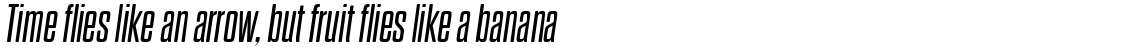 Dharma Gothic Rounded M Regular Italic