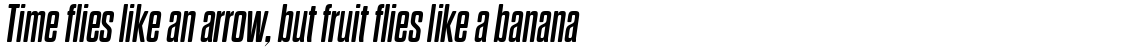 Dharma Gothic Rounded M Bold Italic
