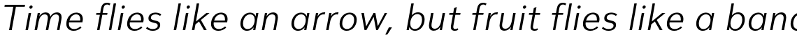 City Boys Book Italic