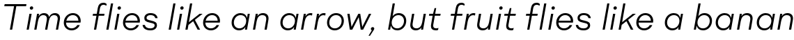 Mid Century Sans Light Italic