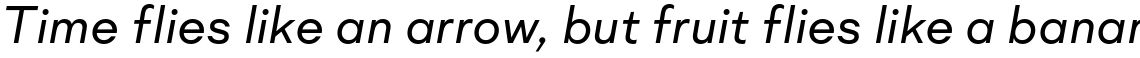 Mid Century Sans Regular Italic