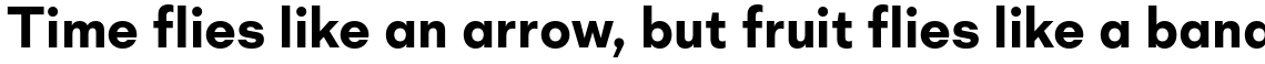 Mid Century Sans Bold