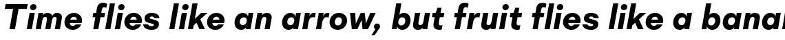 Mid Century Sans Bold Italic