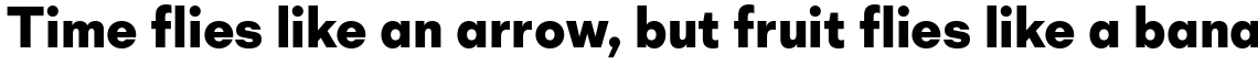 Mid Century Sans XBold