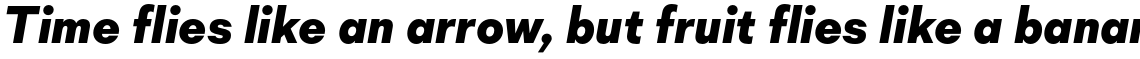 Mid Century Sans XBold Italic