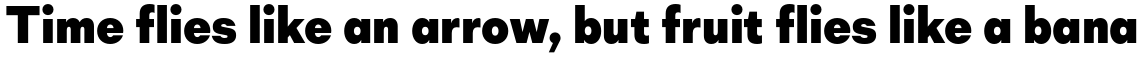 Mid Century Sans Heavy