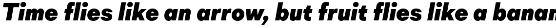 Mid Century Sans Heavy Italic