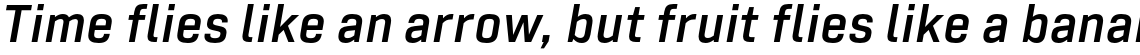 Tamba Sans SemiBold Italic