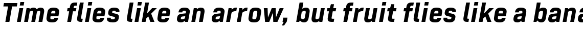 Tamba Sans Bold Italic
