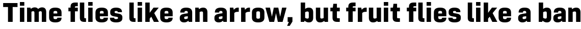 Tamba Sans XBold