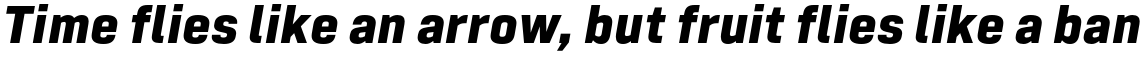 Tamba Sans XBold Italic