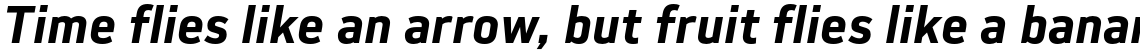 Slow Tempo Bold Italic