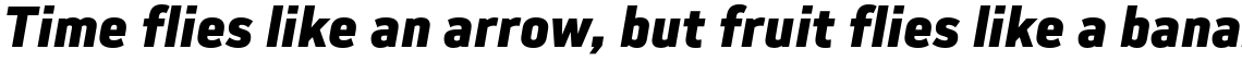 Slow Tempo Black Italic