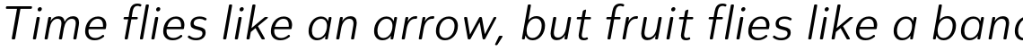 City Boys Soft Book Italic