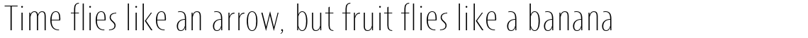 Short Films XLight
