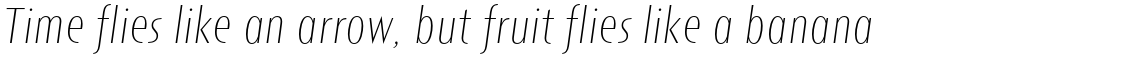 Short Films XLight Italic
