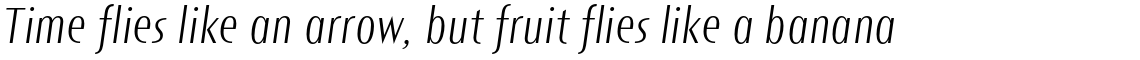 Short Films Light Italic