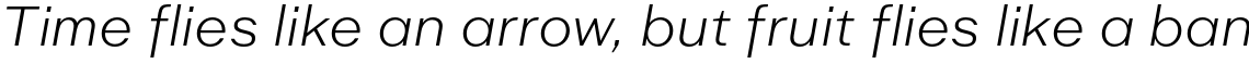Golden Decades Light Italic