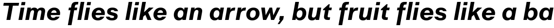 Golden Decades Bold Italic