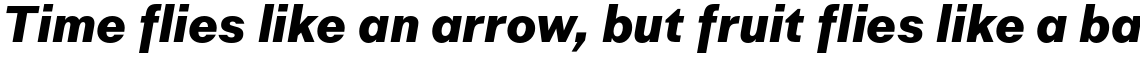 Golden Decades XBold Italic