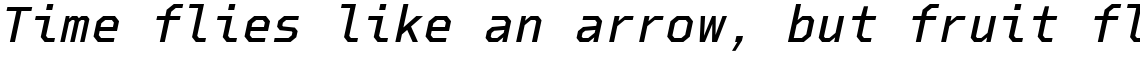 Debugger Medium Italic