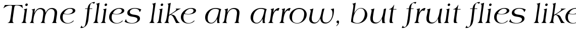 EF Americana Regular Italic