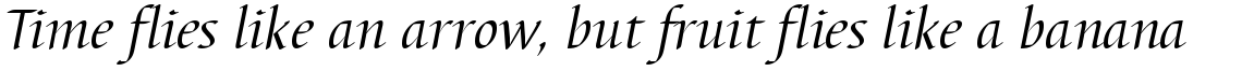 Barbedor Regular Italic