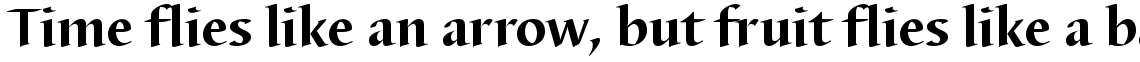 Barbedor Bold