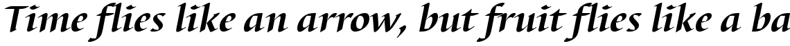 Barbedor Bold Italic