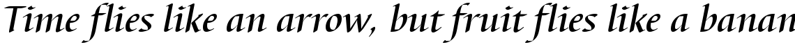 Barbedor Medium Italic