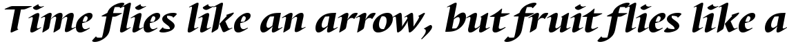 Barbedor Black Italic