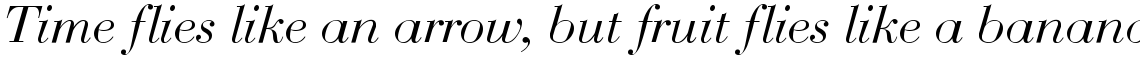 Bauer Bodoni Regular Italic