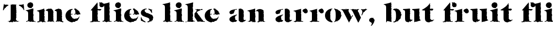 Caslon Fina Stencil Black Rough