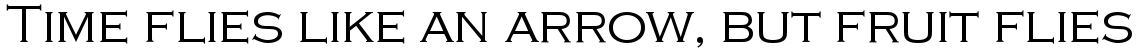 EF Copperplate Light