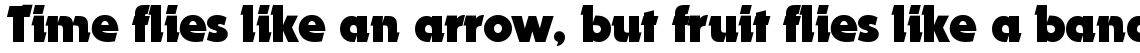 EF Dynamo Bold