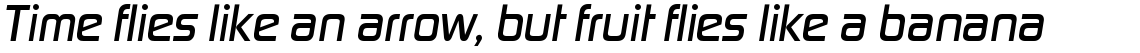 Digital Sans Medium Italic