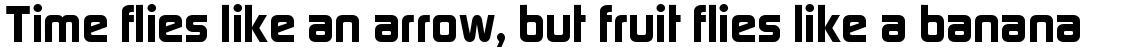 Digital Sans Bold