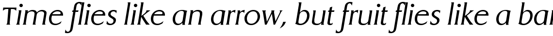 Dragon Light Italic