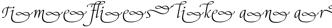Elysa Light Italic Swash 3