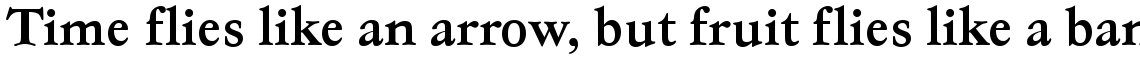 EF Garamond No. 5 Bold