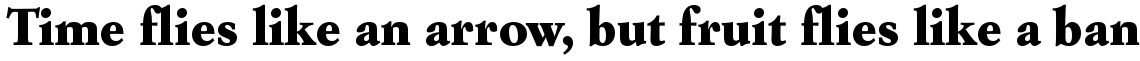 Garamond Simoncini Extra Bold