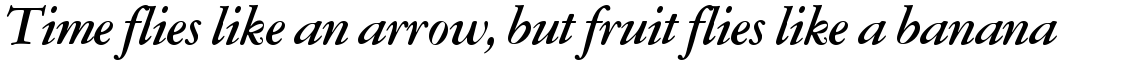 Garamont Amsterdam Medium Italic