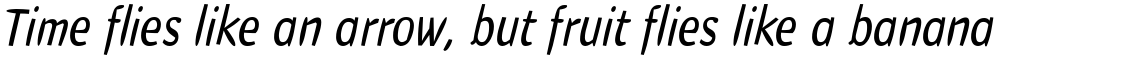 EF Havanna Regular Italic