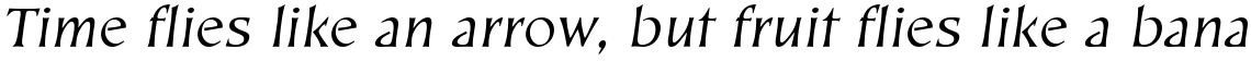 EF Kiev Regular Oblique