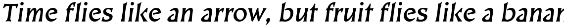 EF Kiev Bold Oblique