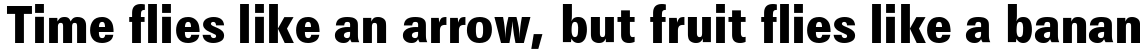 EF Maxima Bold Condensed