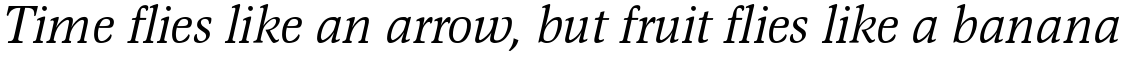 EF Magna Italic